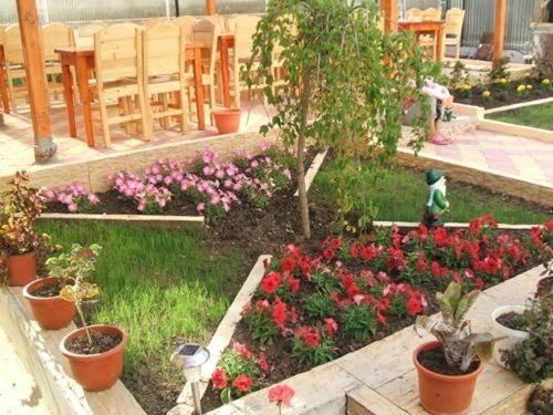 Vila Casa Maria Hotel Costinesti Ngoại thất bức ảnh